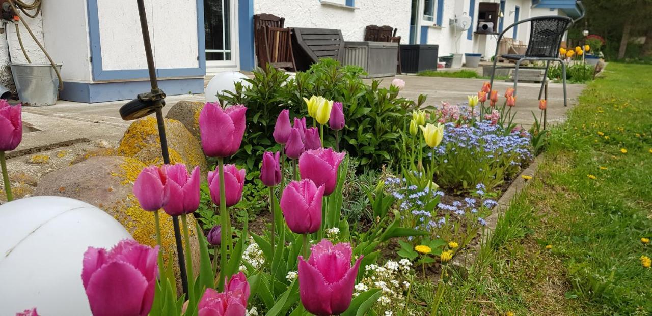 Villa Wiese Katzow Ngoại thất bức ảnh